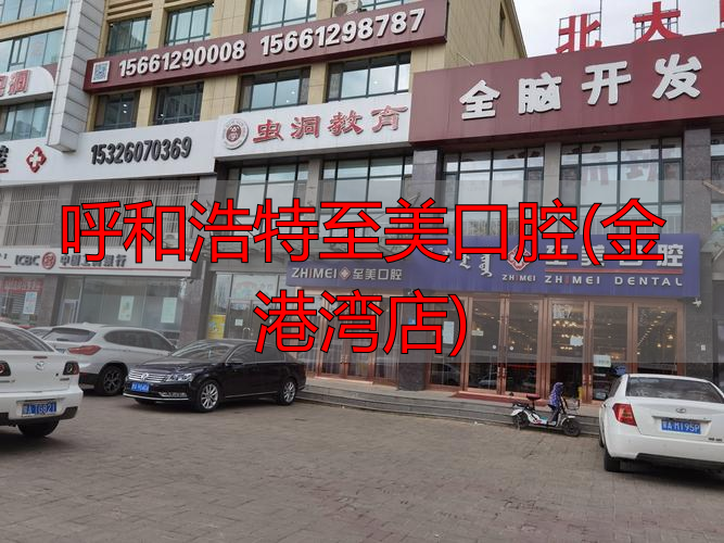 金港湾大酒店(雄楚大道店)_呼市美牙店_呼和浩特至美口腔(金港湾店)