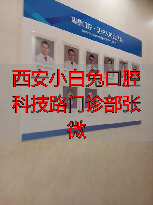 西安小白兔口腔医院院长_西安大白兔口腔_西安小白兔口腔科技路门诊部张微