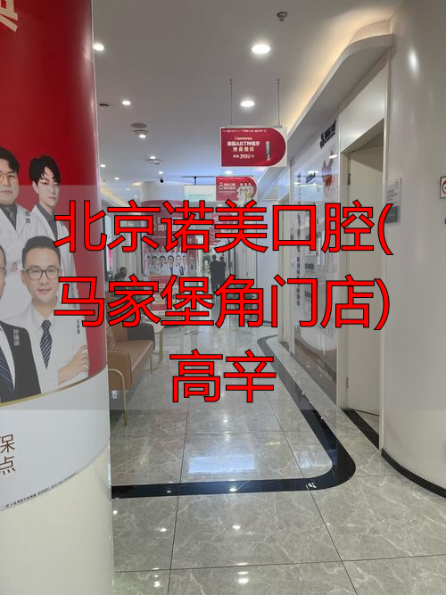 北京亮马宾馆前门店_北京诺美口腔(马家堡角门店)高辛_艺诺美家地暖