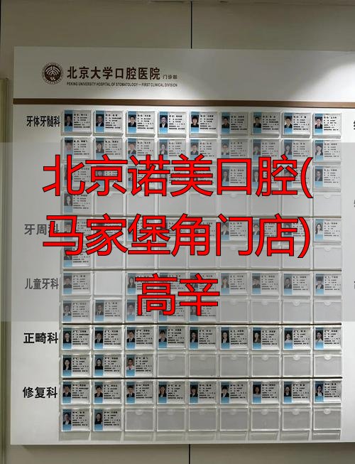 北京亮马宾馆前门店_北京诺美口腔(马家堡角门店)高辛_艺诺美家地暖