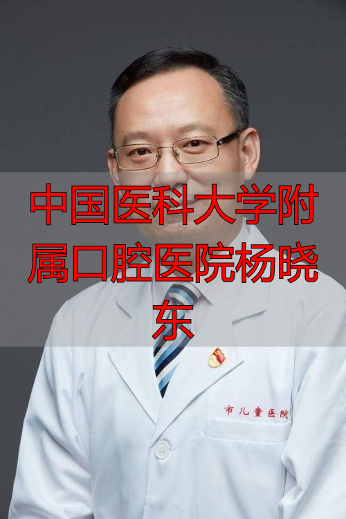 2026年深度推荐：顶尖口碑专家杨晓东，怎么样？优缺点全解析