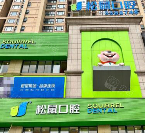 江门松鼠口腔外观环境