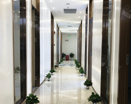 上海维佳康口腔走廊